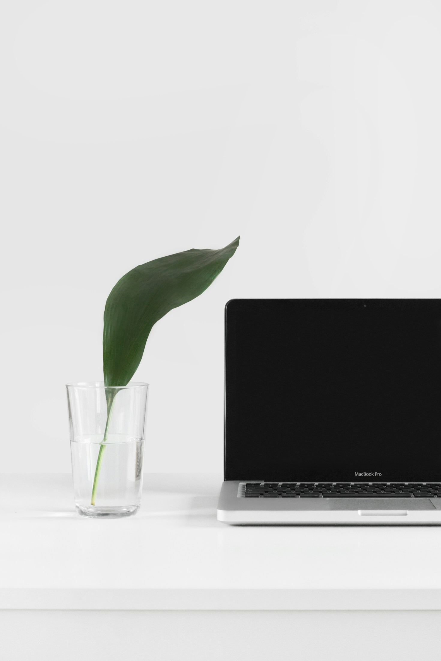 Showcasing Creativity: Tips for a Personal Portfolio